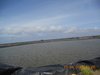 water coll1